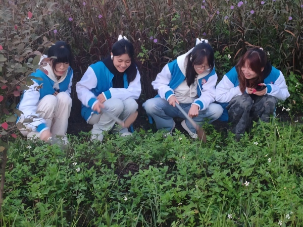 各个小组志愿者们积极讨论，奋力除草