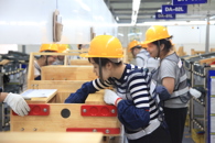 我校顺利完成2017年度柳州职业院校现代学徒制师资培训班培训