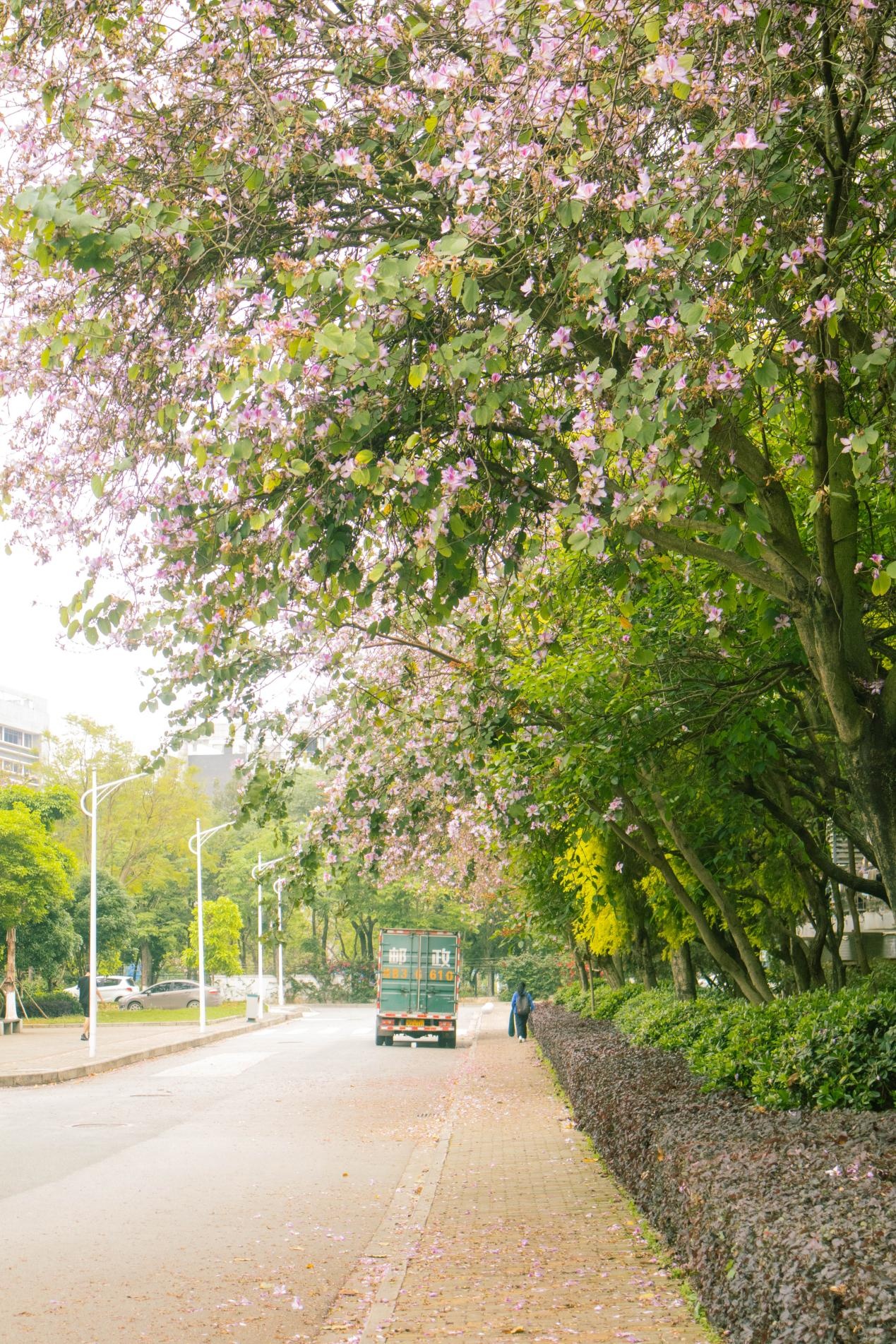 202405081746105930.jpg 202405081746105930.jpg