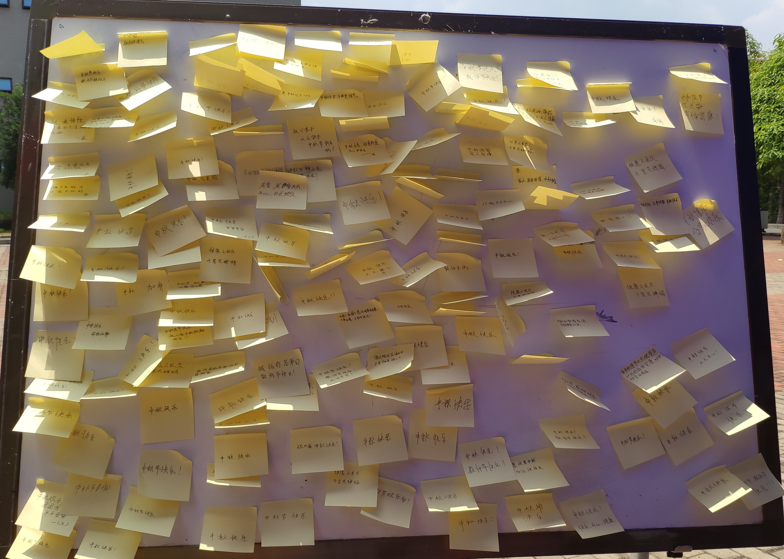 202209141532556571.jpg 202209141532556571.jpg