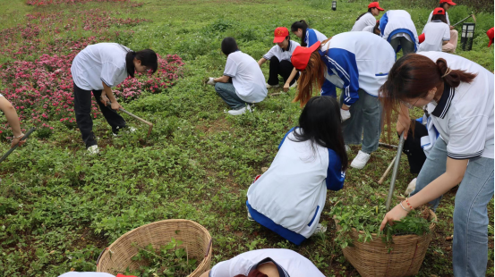 202403261652336360.png 202403261652336360.png