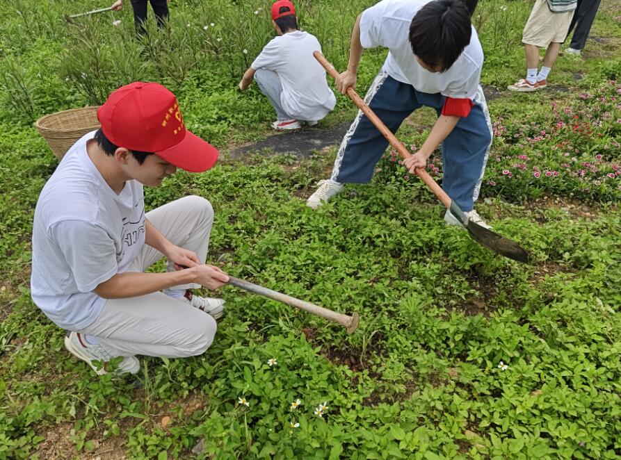 202405201203062961.jpg 202405201203062961.jpg