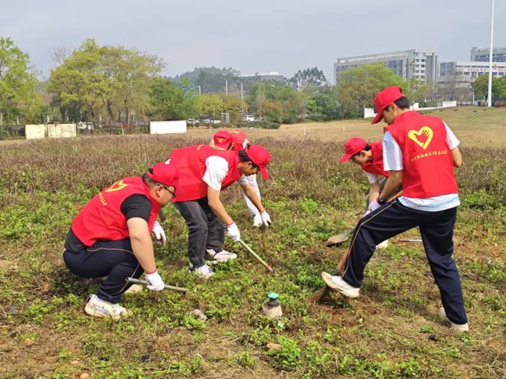 志愿者们在“青田”劳动园除草、松土