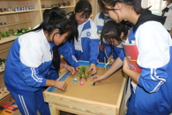 【青春喜迎团代会】我校青年志愿服务工作项目化运作开启新篇章