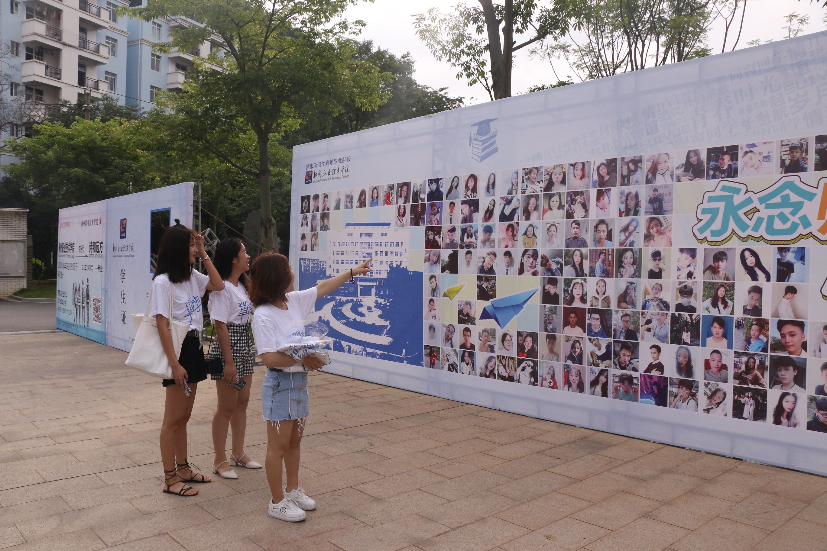 201807030959551347.JPG 201807030959551347.JPG