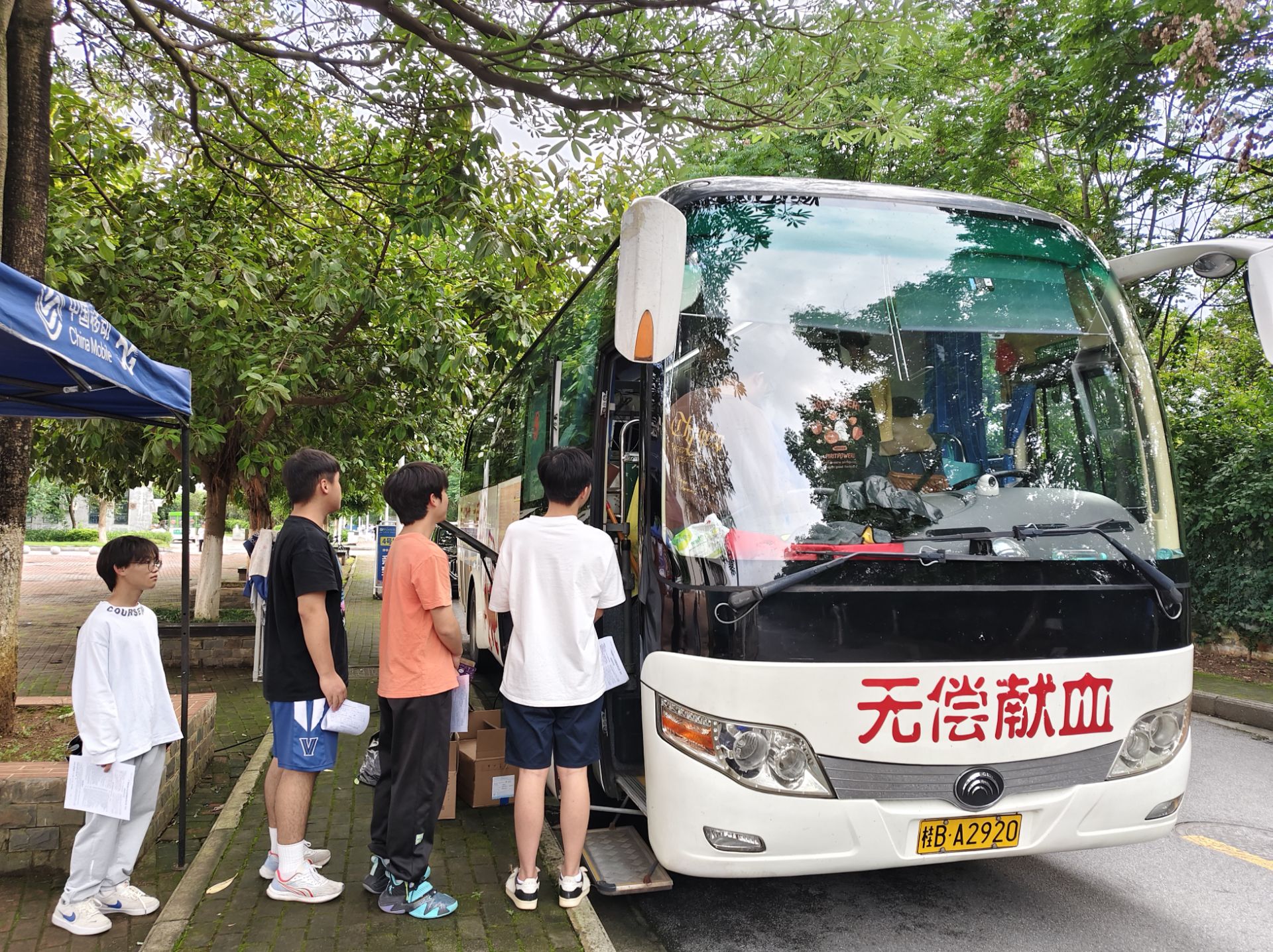 202406091858223040.jpg 202406091858223040.jpg