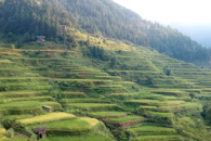 【精准扶贫看柳职】白哗哗的山泉水有望变成真金白银——我校教师阎志斌挂职贫困村第一书记大力发展绿色扶贫产业