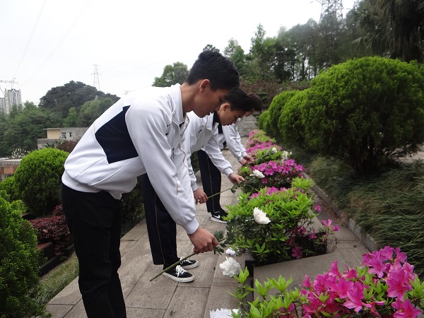 201904021120579379.JPG 201904021120579379.JPG