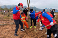 机电工程学院党总支新时代文明实践站系列活动之“美丽柳州，青春行动”植树活动