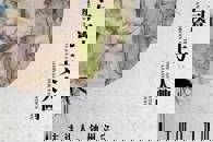 艺术设计学院举行“传统美学与瓷上文人画” 浅绛彩专题讲座