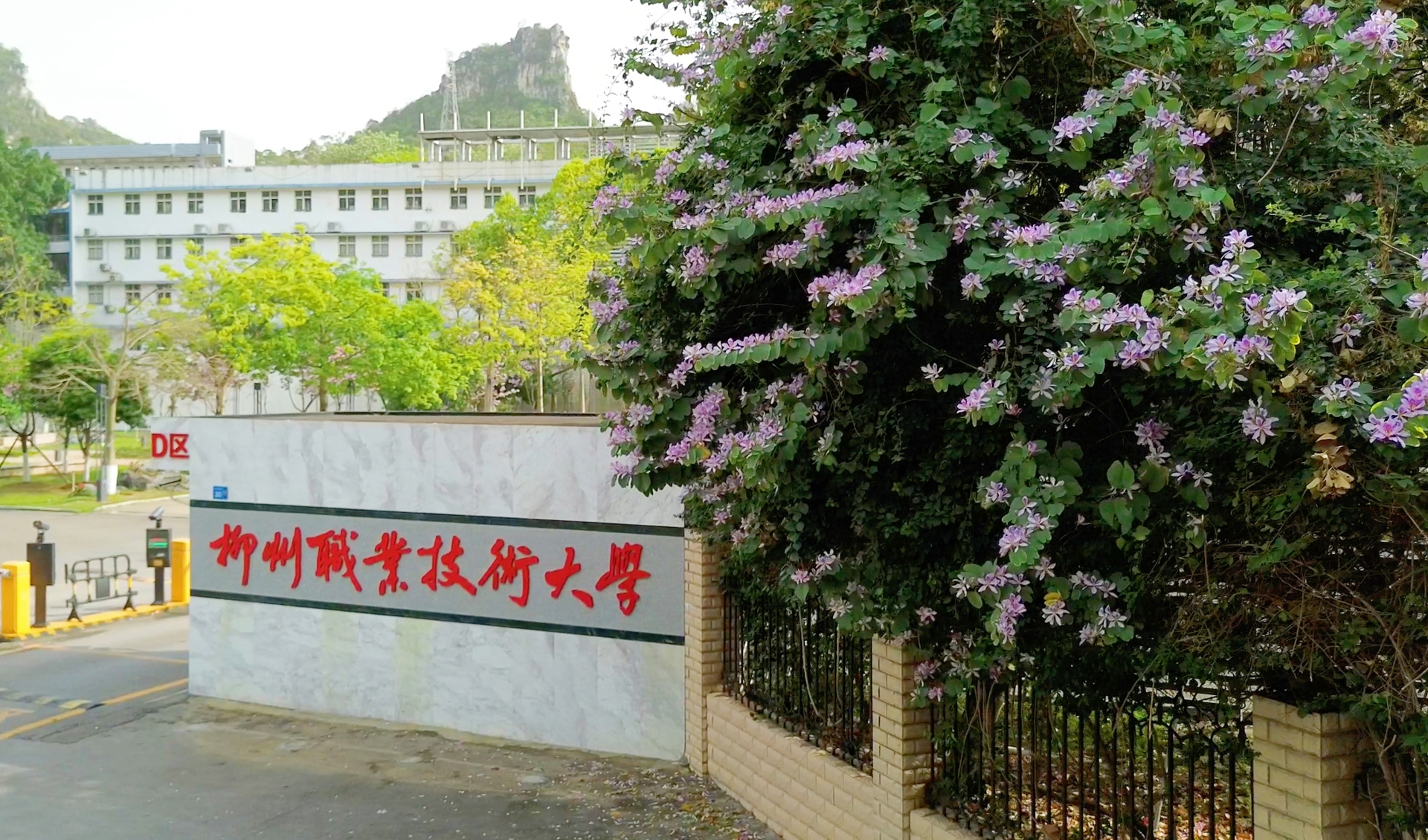 检修汽车的学生