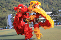 第二十一届运动会开幕  精彩纷呈看点多多