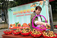 我校举办“第一届柳职枇杷节”活动