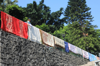 暖心！我校宿管阿姨隔空“接单”晒被子