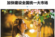 【南国今报】夜紫荆  花曼妙