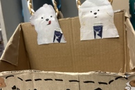 “正青春，寓见精彩”——贸易与旅游管理学院开展2025年宿舍文化节系列活动