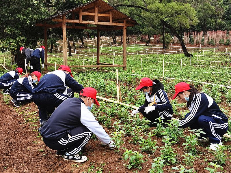 202103161109268989.jpg 202103161109268989.jpg