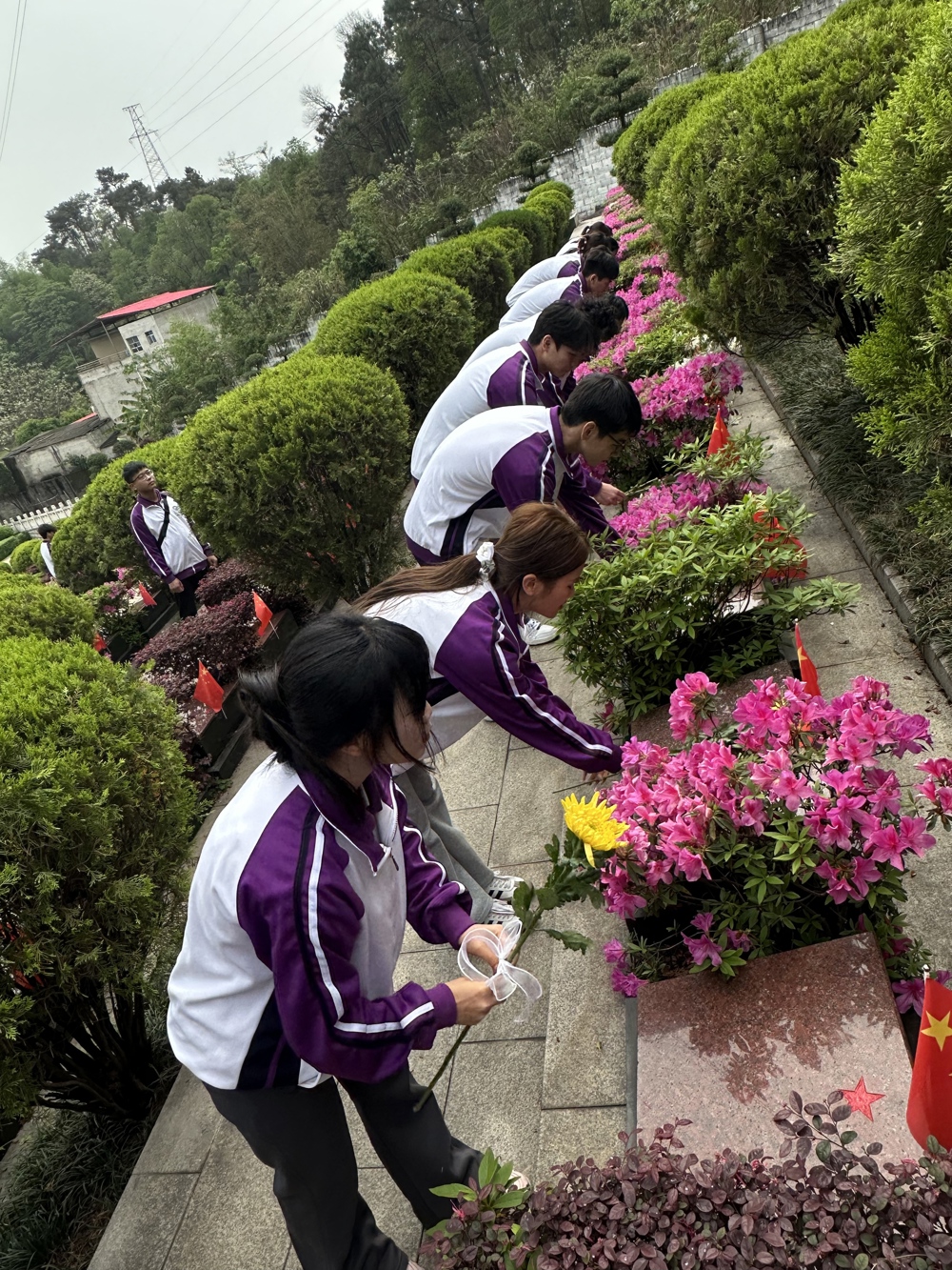 2e1e2aec431b6c07393fd524938e8fd