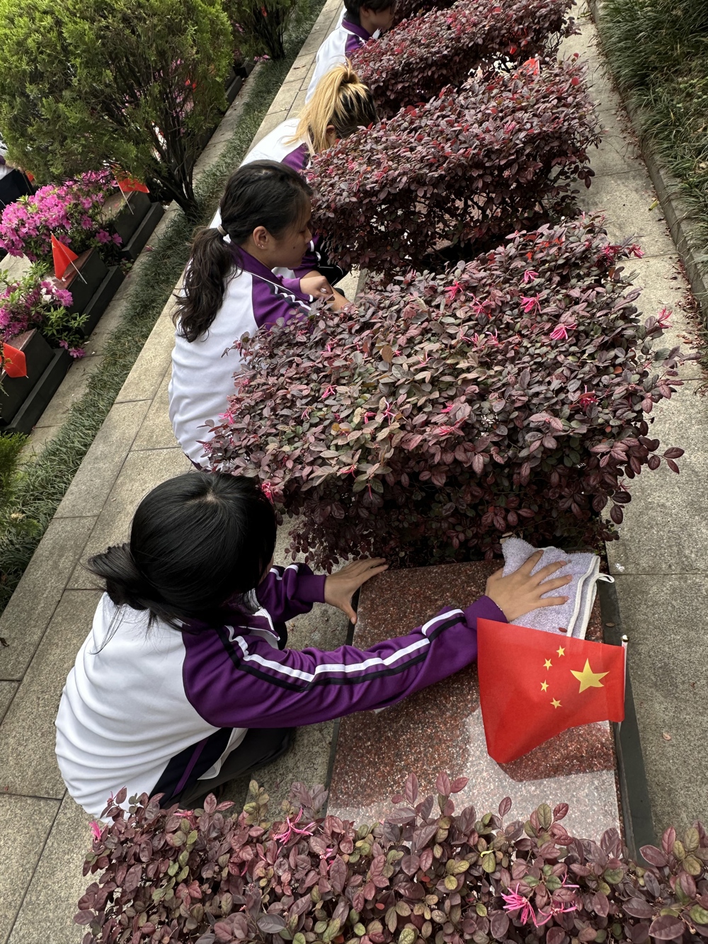 00a8b4db4a89ffe81c86be0f6fdb8c1