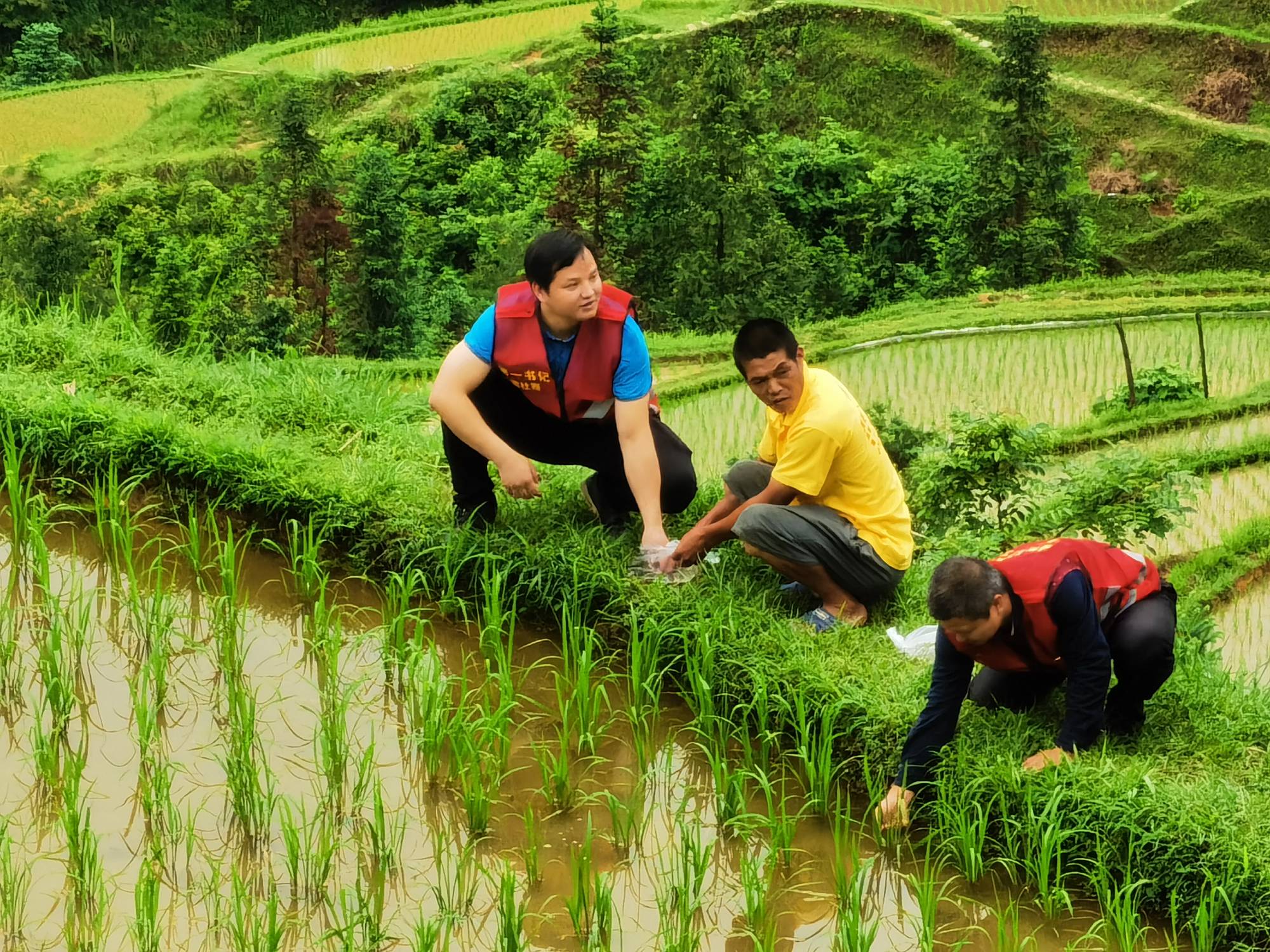 202010262004378125.jpg 202010262004378125.jpg