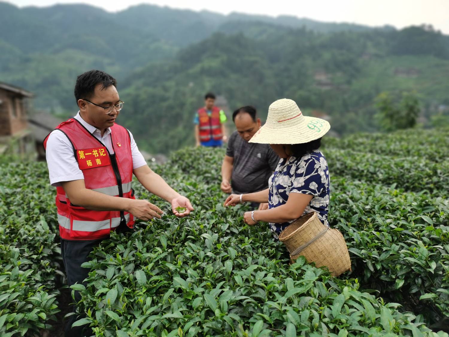 202010262004370430.jpg 202010262004370430.jpg