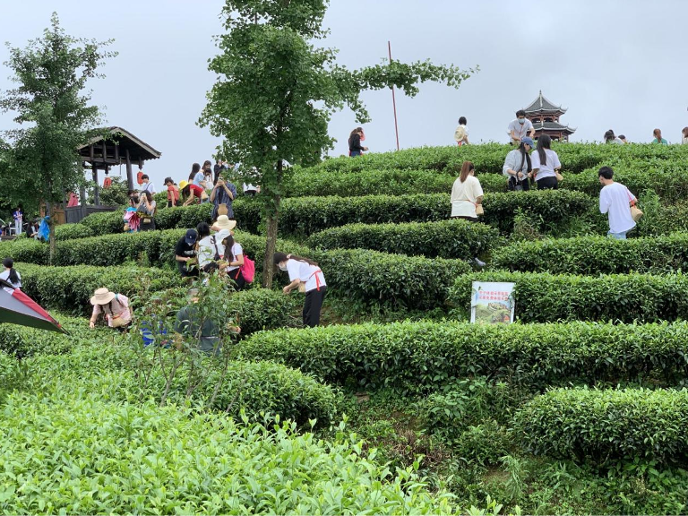 202206161621596257.png 202206161621596257.png