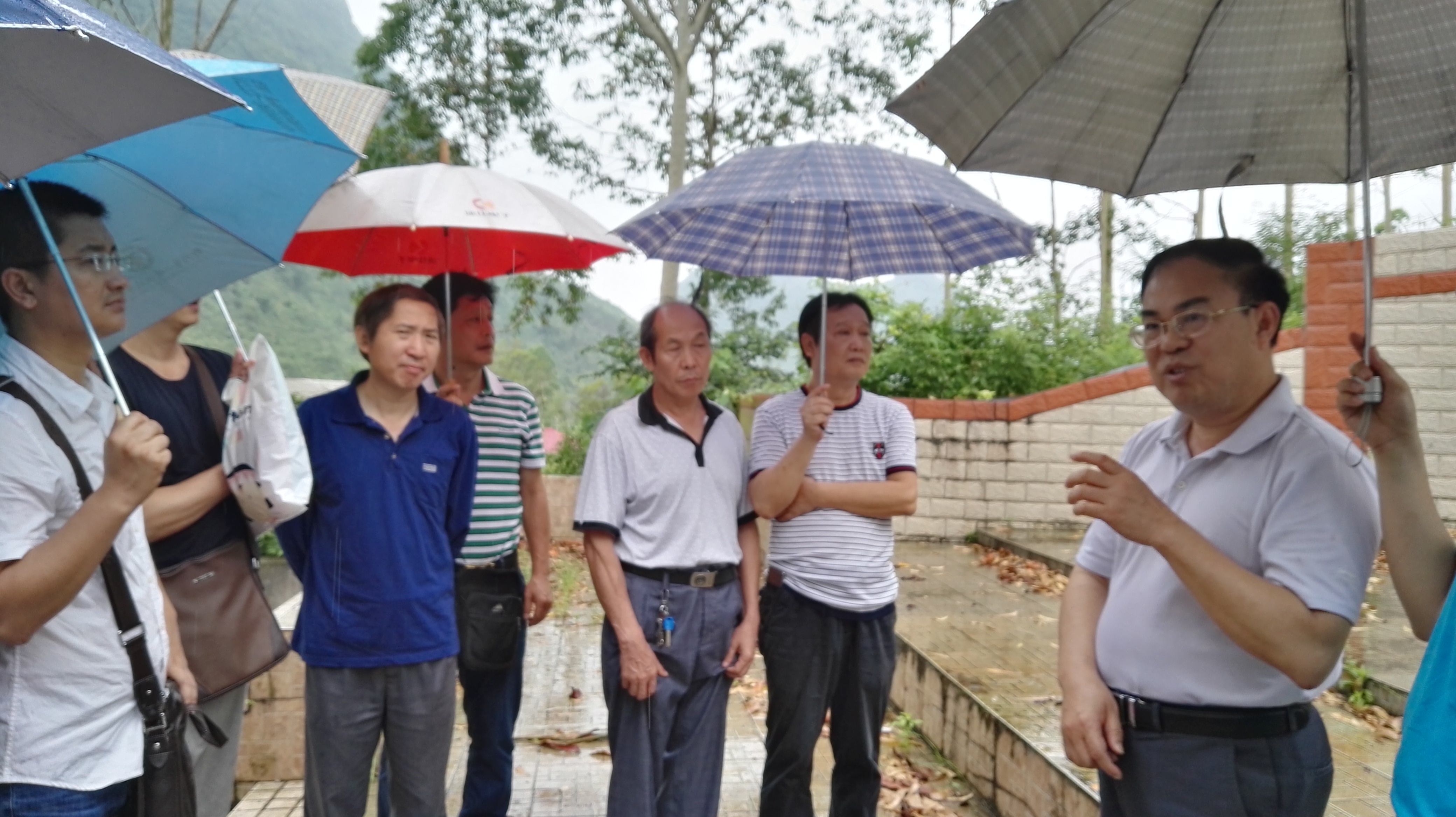 201706161620368213.jpg 201706161620368213.jpg